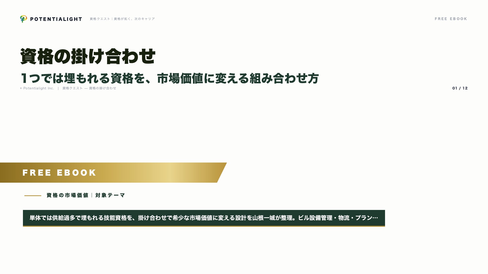 資格の掛け合わせ eBook表紙